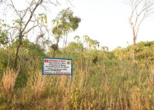 Benin - Cassava Fields
