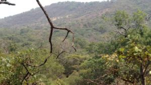 Zimbabwe